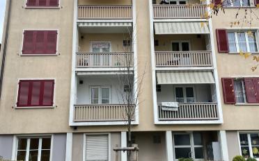 Wohnung ein Zimmer - image - 2