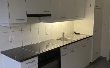 Wohnung ein Zimmer - image - 3