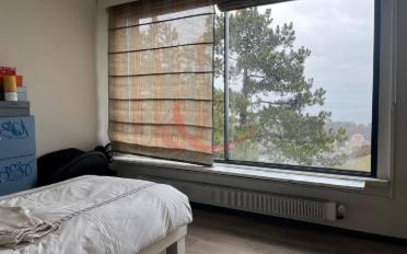 Single house 8 rooms - image - 9