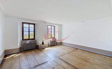 Wohnung 2 Zimmer - image - 2