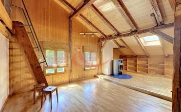 Wohnung 2.5 Zimmer - image - 2