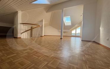 Villa 8 Zimmer - image - 9