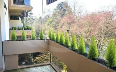 Wohnung 4 Zimmer - image - 13