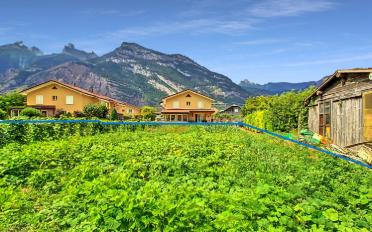 Terrain à bâtir - image - 6