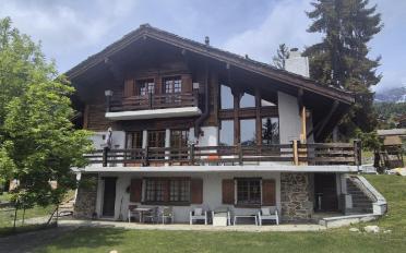 Chalet 11 pièces - image - 2