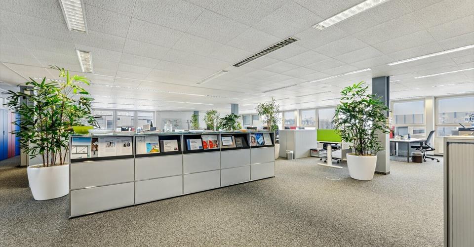 Arbeiten, wo Flexibilität auf Infrastru…
