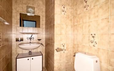 Attic flat 6 rooms - image - 8