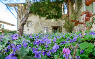 Row house 7 rooms - image - 1