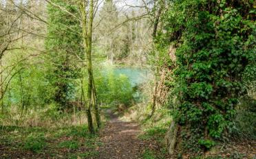 Row house 7 rooms - image - 9