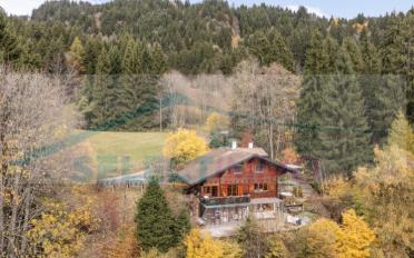 Einfamilienhaus 6.5 Zimmer - image - 1