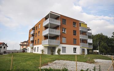 Wohnung 3.5 Zimmer - image - 1