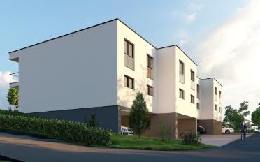Doppeleinfamilienhaus 5.5 Zimmer - image - 10