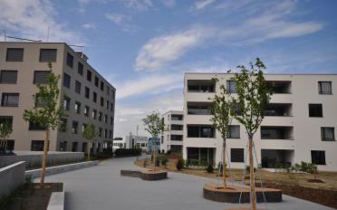 Office - image - 11