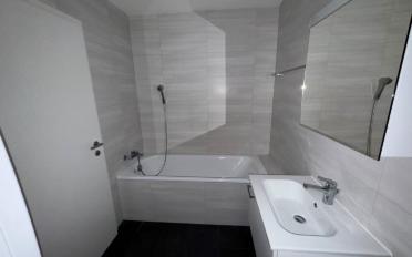 Appartement 3.5 pièces - image - 2