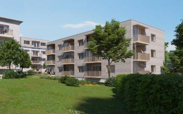 Wohnung 2 Zimmer - image - 1