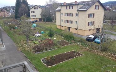 Wohnung 2 Zimmer - image - 2