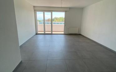 Wohnung 4 Zimmer - image - 3