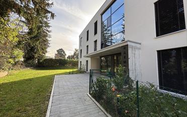 Wohnung 2.5 Zimmer - image - 1