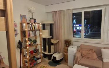 Wohnung ein Zimmer - image - 3