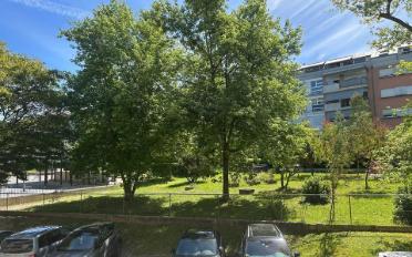 Wohnung 4 Zimmer - image - 4