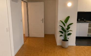 Wohnung 1.5 Zimmer - image - 4