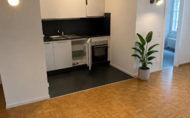 Wohnung 1.5 Zimmer - image - 3