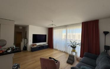 Wohnung 4.5 Zimmer - image - 1