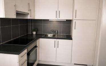 Appartement 2.5 pièces - image - 2