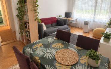 Wohnung 2.5 Zimmer - image - 1