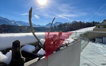 Wohnung 5 Zimmer - image - 1