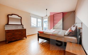 Villa 9 Zimmer - image - 13