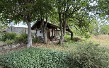 Single house 6 rooms - image - 3