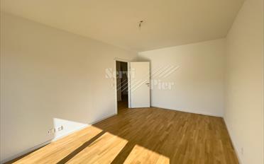 Wohnung 4.5 Zimmer - image - 5