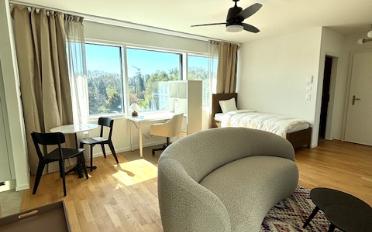 Apartment 1 room - image - 1