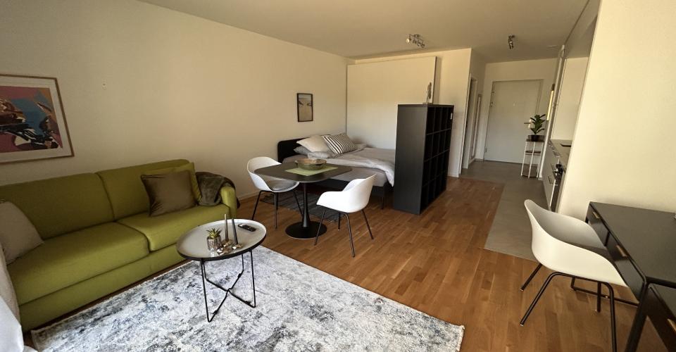 Magnifique studio meublé en location à Chavannes-près-Renens