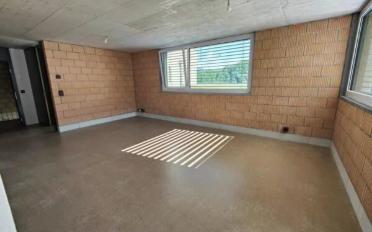 Wohnung 2.5 Zimmer - image - 5