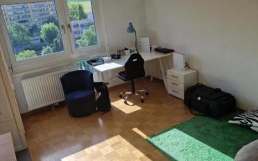 Wohnung 1.5 Zimmer - image - 1