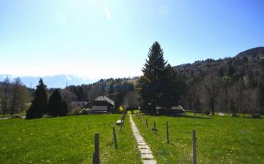 Chalet 15 rooms - image - 8