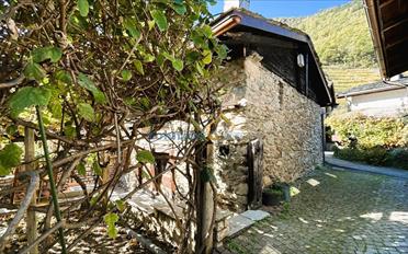 Villa 2.5 pièces - image - 1