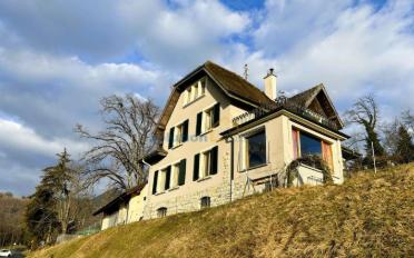 Single house 7 rooms - image - 5