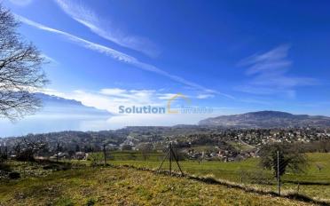 Single house 7 rooms - image - 3