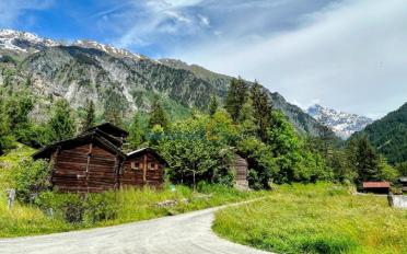 Chalet 2.5 rooms - image - 4