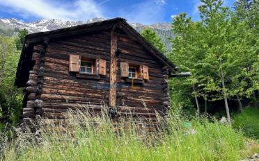 Chalet 2.5 rooms - image - 2