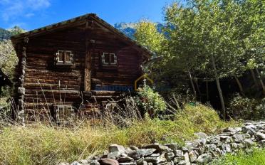 Chalet 2.5 rooms - image - 3