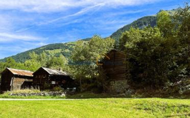 Chalet 2.5 rooms - image - 5