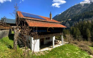 Chalet 8.5 pièces - image - 3