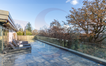 Appartement terrasse 9 pièces - image - 12