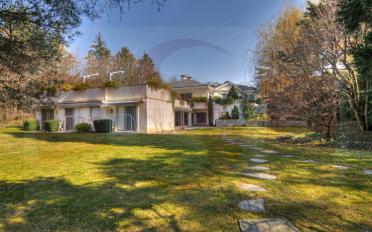 Single house - image - 1