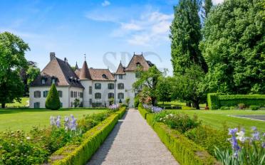 Château 16 pièces - image - 1
