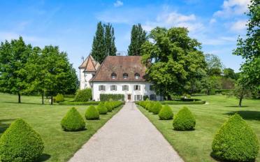 Château 16 pièces - image - 10